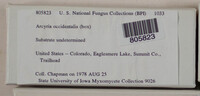 Image Associated With the Occurence